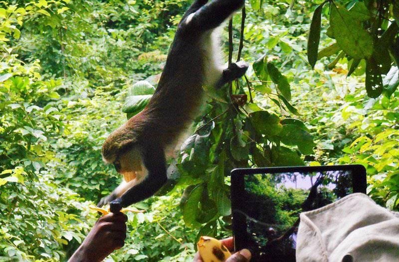 5-DAY GHANA SAFARI ADVENTURE – WILDLIFE, WATERFALLS & CULTURE - BY ENQUIRY ECO TOUR